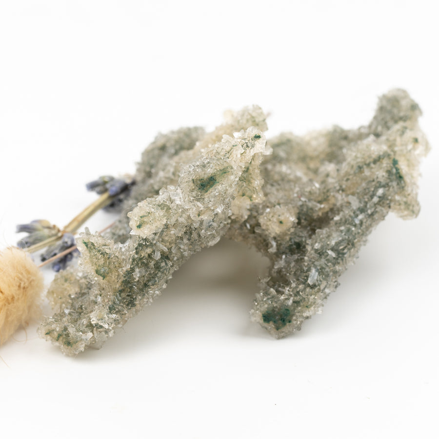 Crystallized Green Coral #1