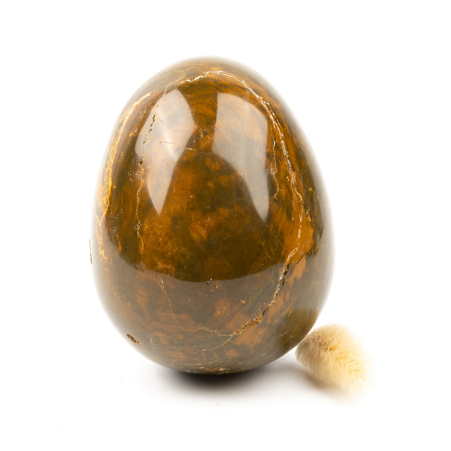 Ocean Jasper Egg #3