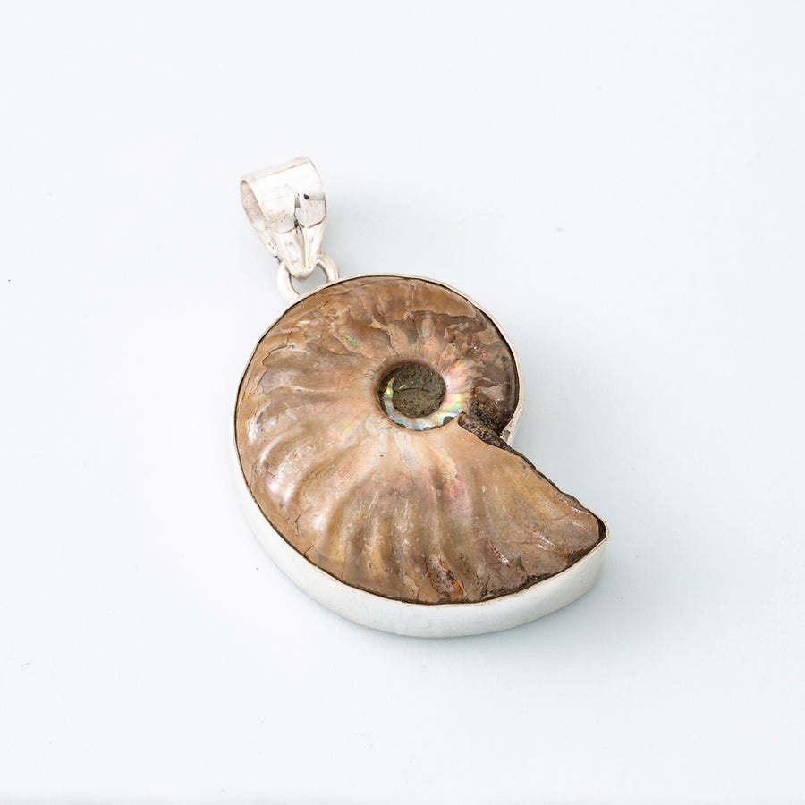 Opalized Ammonite Pendant